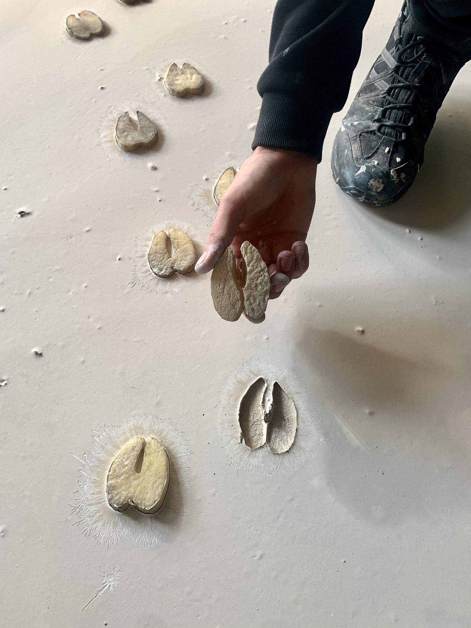 The Art Hostel Visiting Leeds? Stay with us at the Art Hostel -...