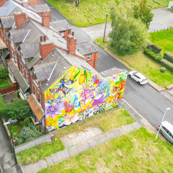 Carnival-inspired mural unveiled in Chapeltown