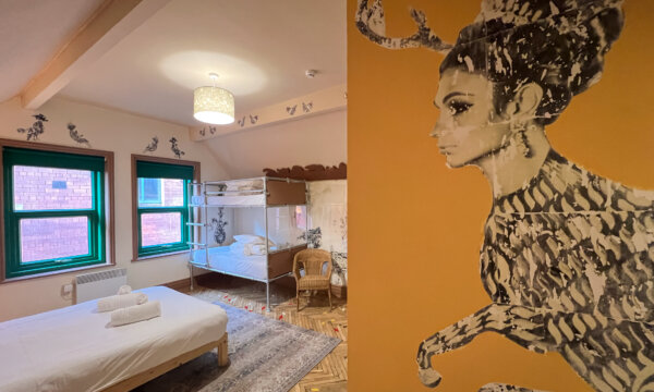 Check-in at the Art Hostel: Living in a Wonderland by Mohammad Barrangi