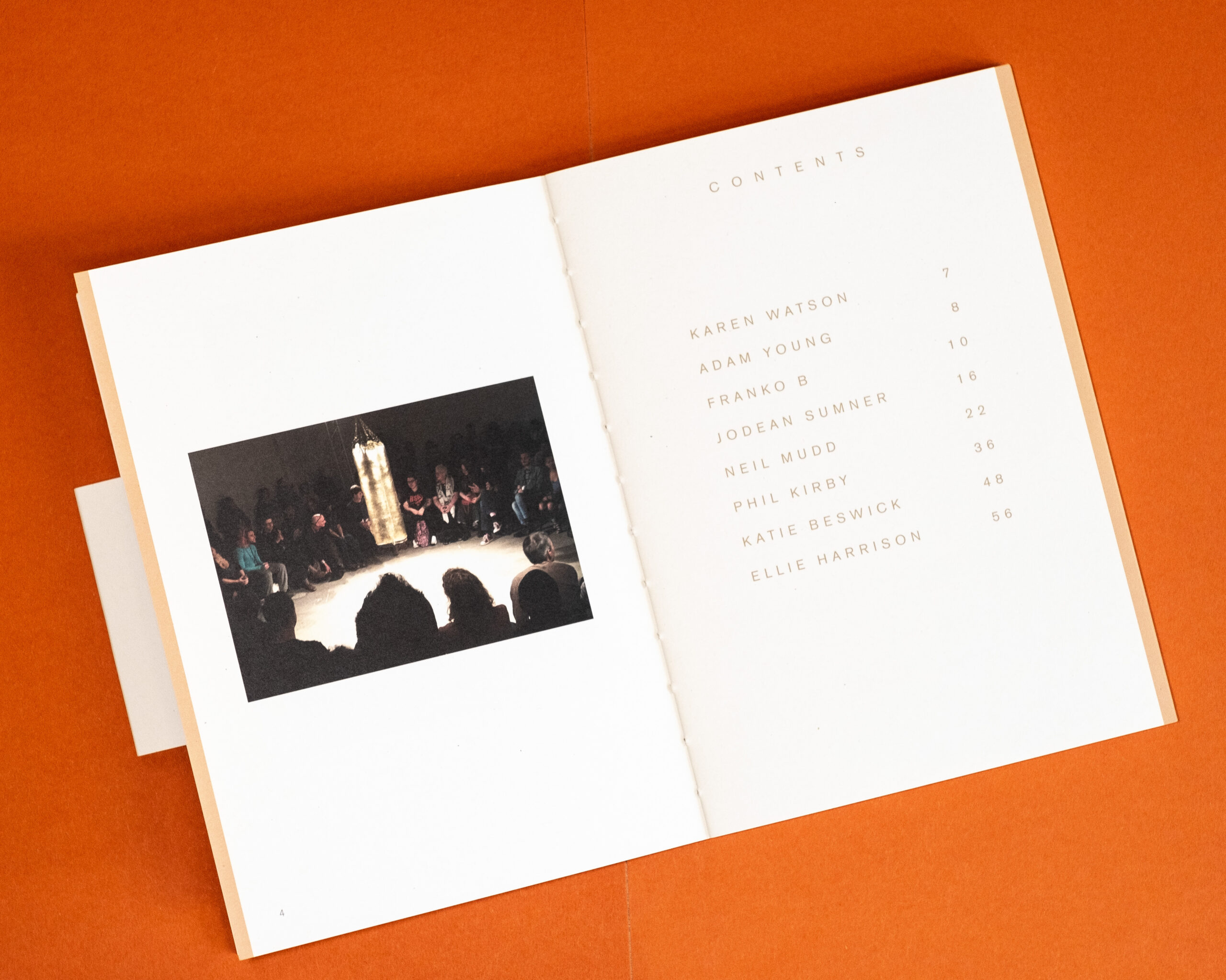 Franko B Publication A collection of images and texts depicting the artist Franko...