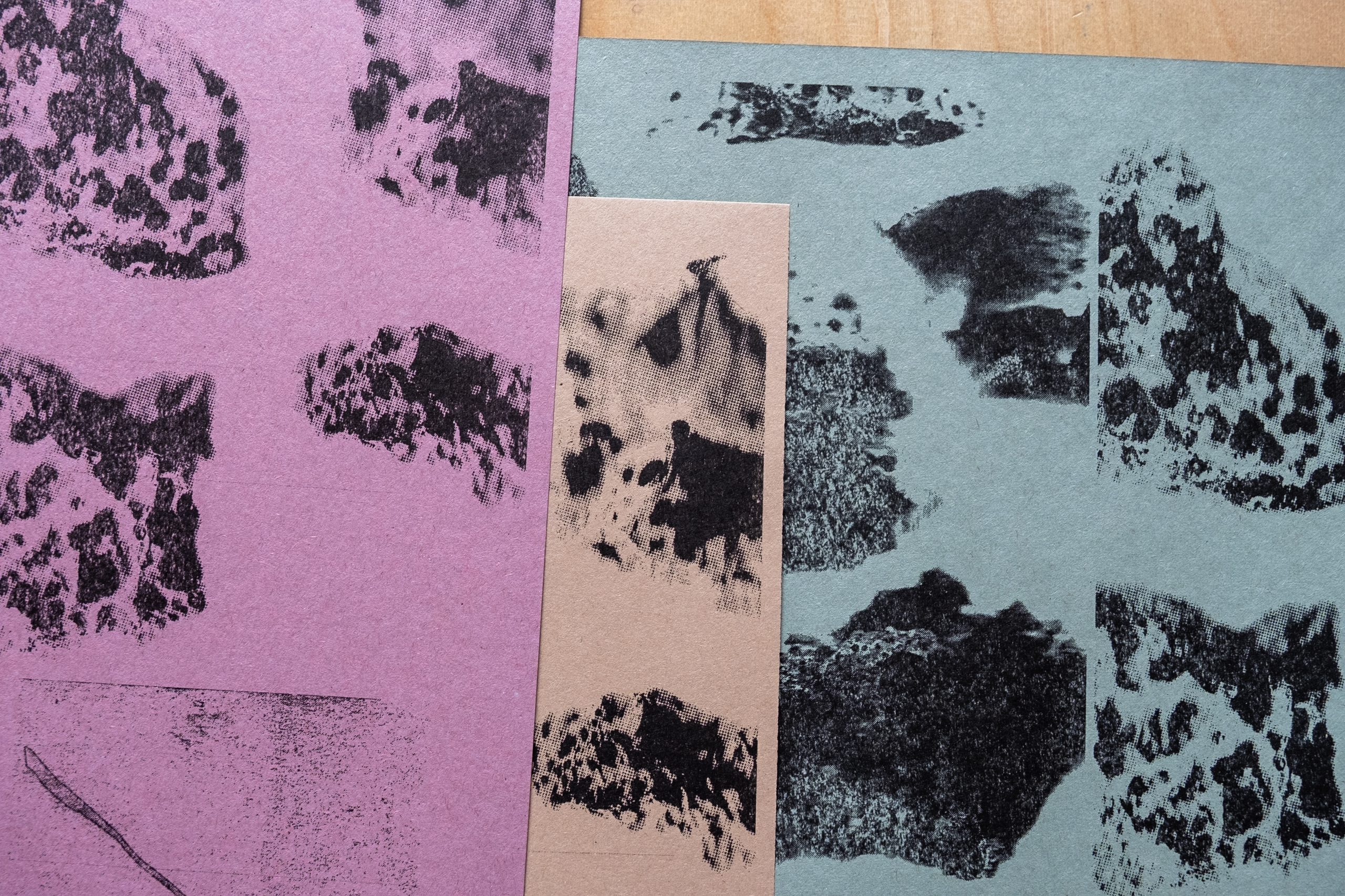 Riso Reflections: Katya Mora Mexican born artist Katya Mora reflects on their time at...