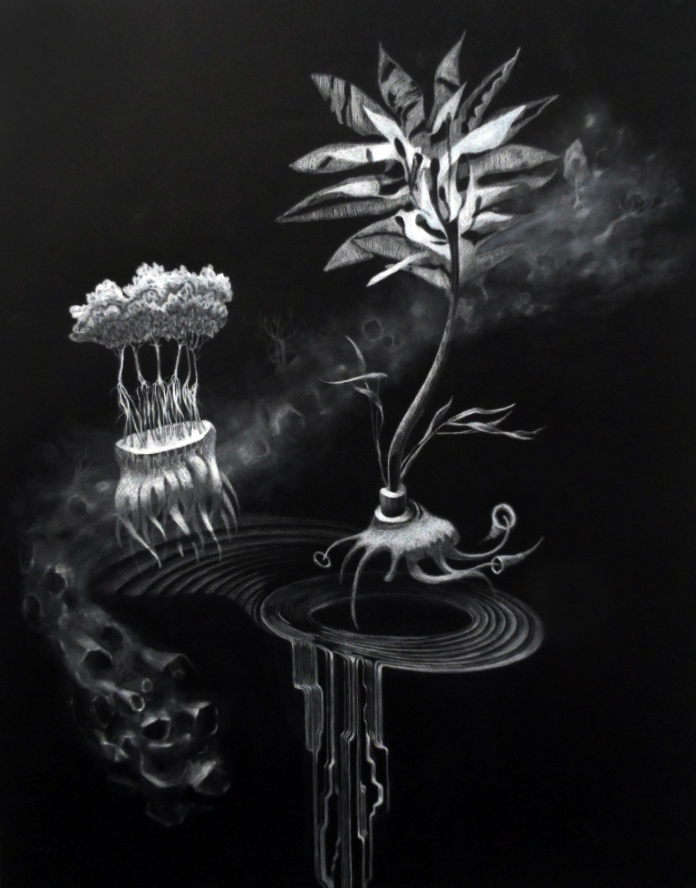 carbon_potentiality1
