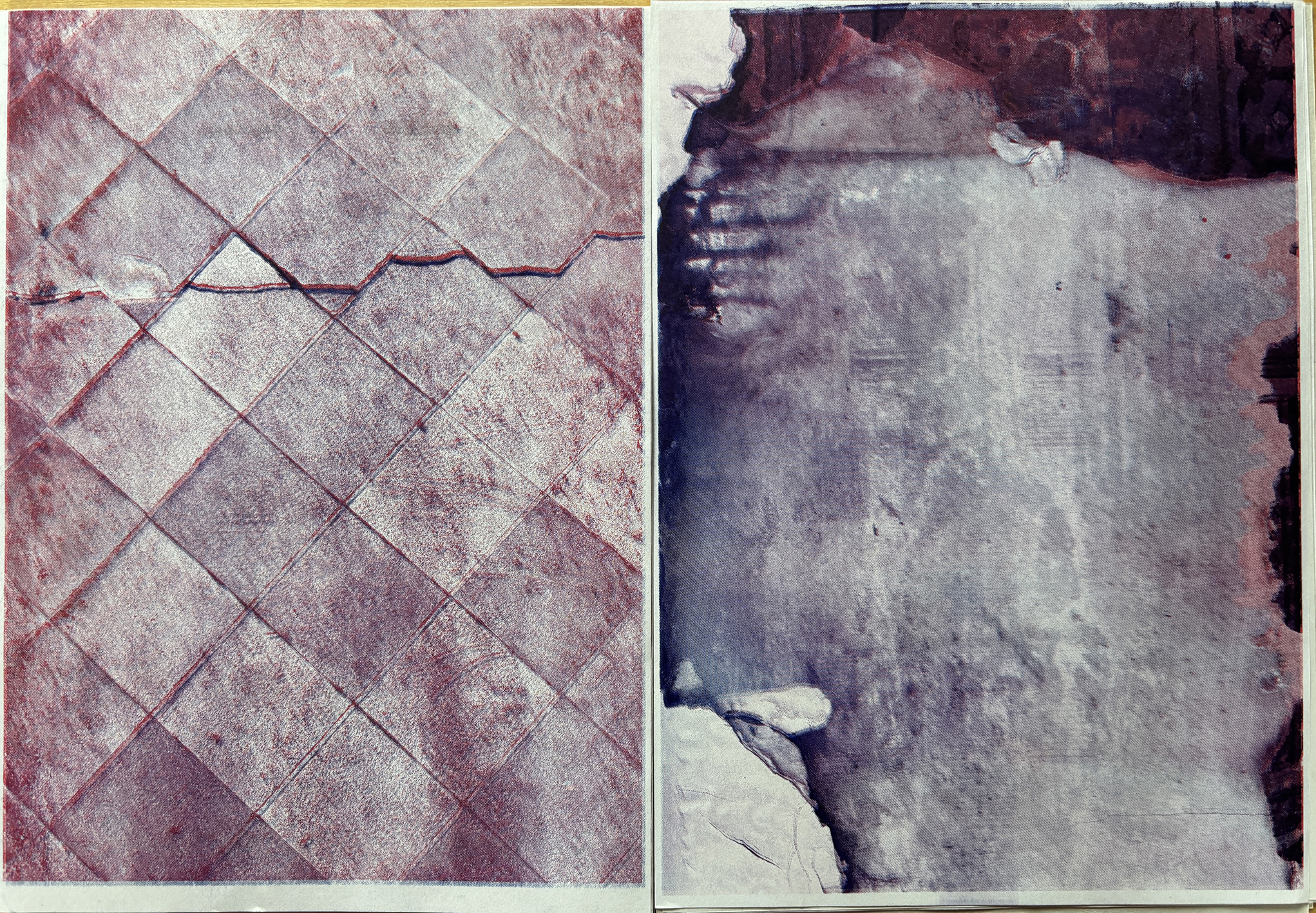 Riso Reflections: Sayako Sugawara Sayako Sugawara is an artist interested in transforming images through...