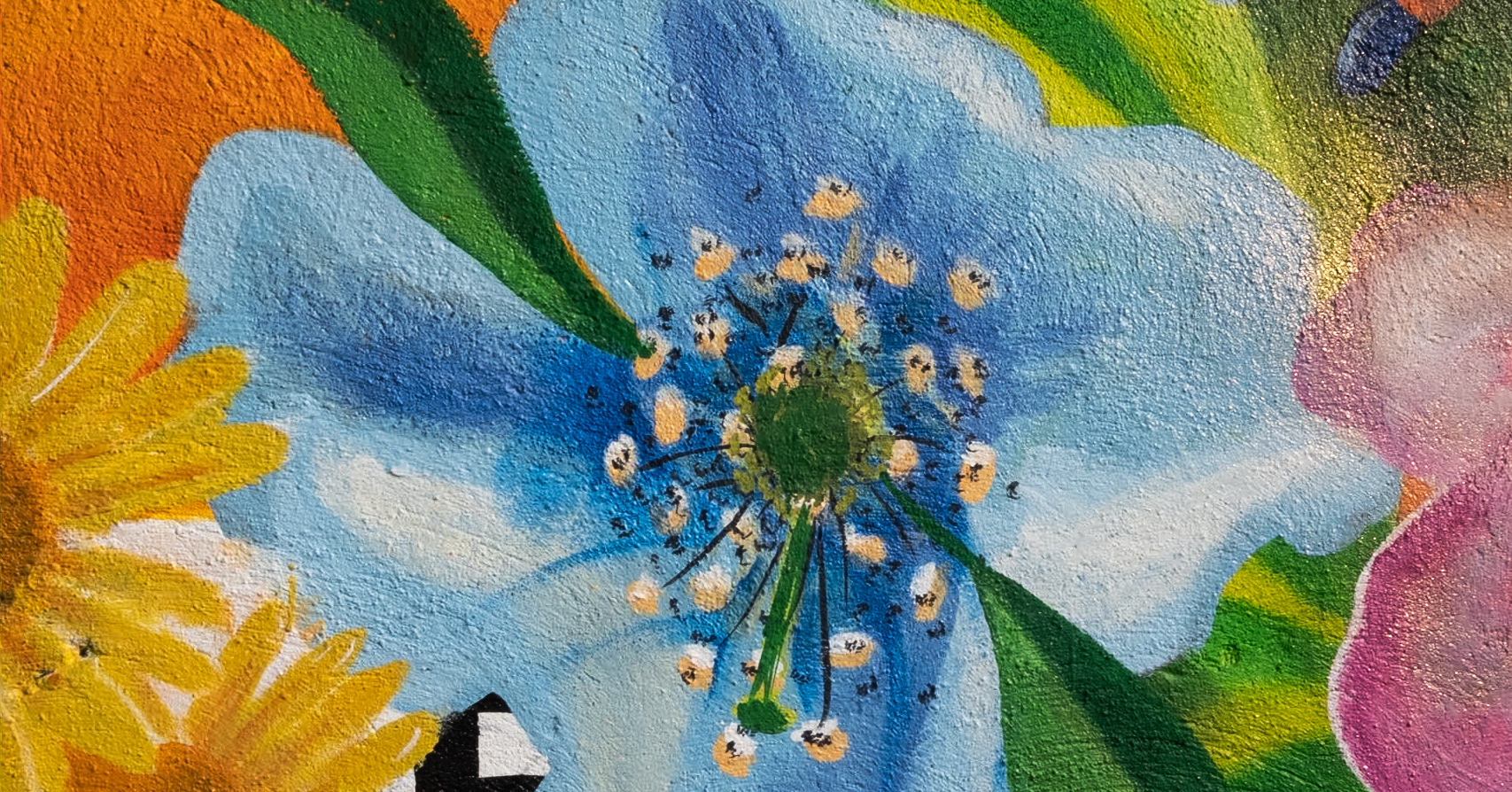 Chapeltown Carnival Mural Garden Receives £27,250 We're supporting the development of a new community garden in...