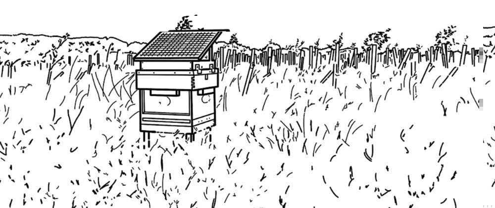 Gair Wood Sounds: A Space For Listening An architectural listening space for Gair Wood Sounds, developed by...